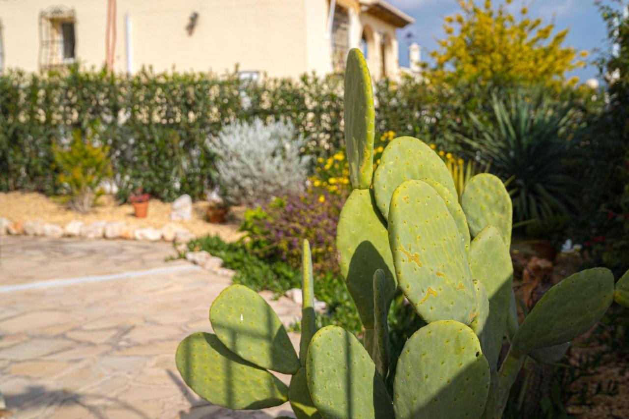 Ferienwohnung La Mandarina Orba Exterior foto